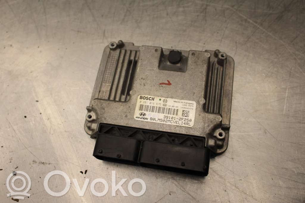 Injection control unit/module   391012F250,0281016675