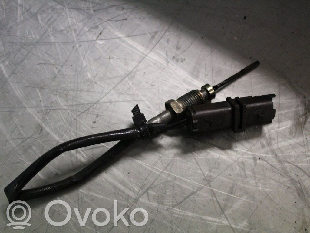 Peugeot 307 Aušinimo skysčio temperatūros daviklis 
