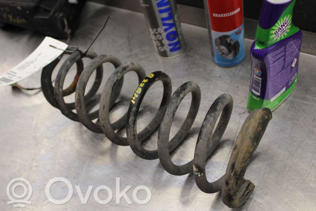 Rear coil spring