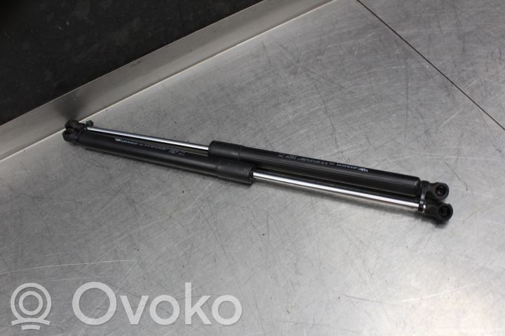 Tailgate strut   8200299546
