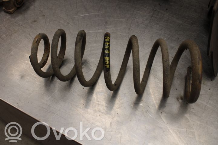 Rear coil spring