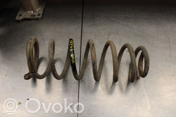 Rear coil spring