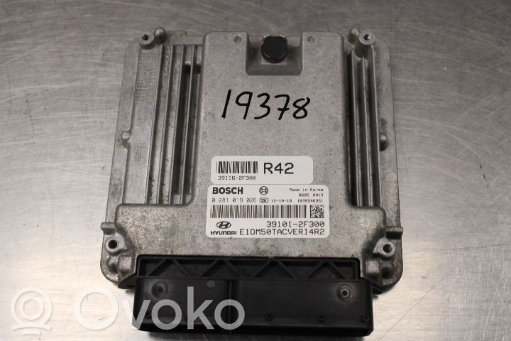 Hyundai Santa Fe Injection control unit/module 