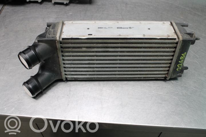 Interkūlerio radiatorius   9682434580