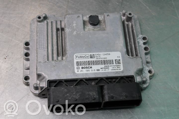 Ford Focus Injection control unit/module 