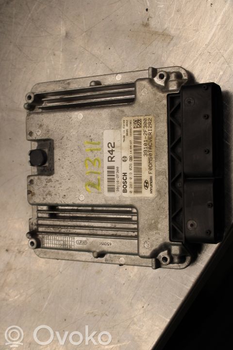 Hyundai Santa Fe Injection control unit/module 