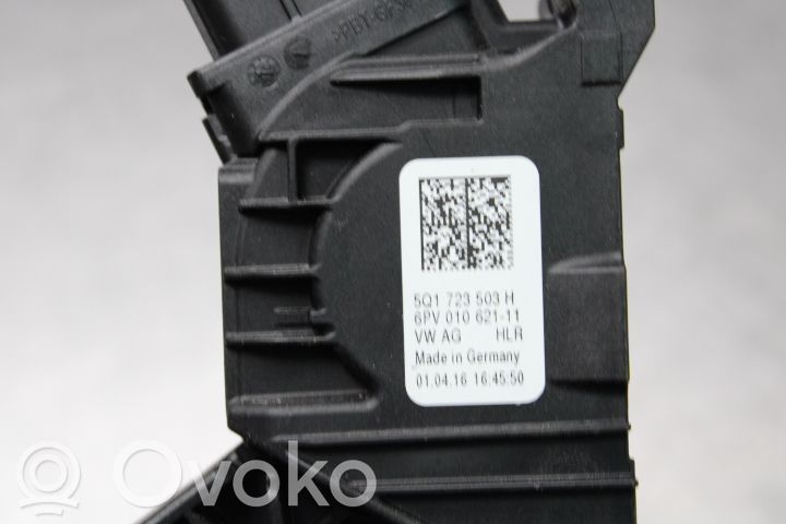 Gaspedalsensor elektrisch   6PV01062111,5Q1723503H