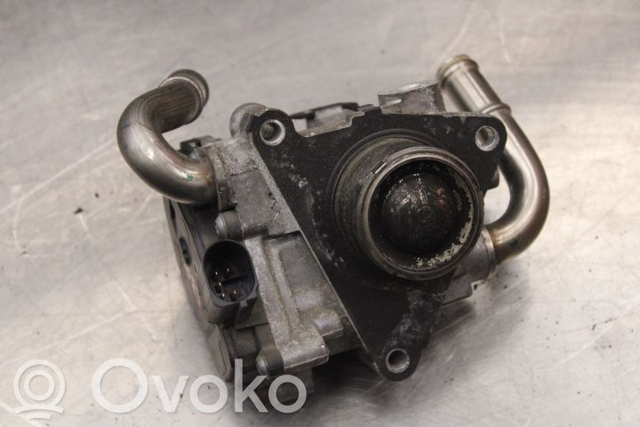 Válvula EGR   009607080