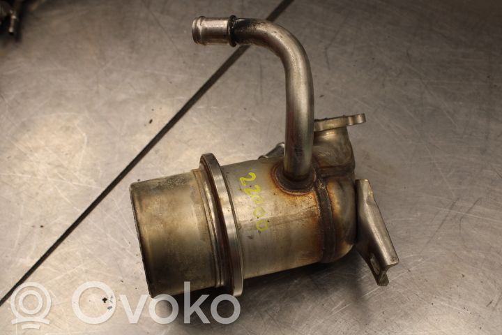 Volkswagen Polo VI Valvola di raffreddamento EGR