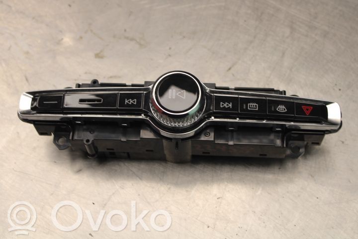 Multifunctional control switch/knob   P31398845