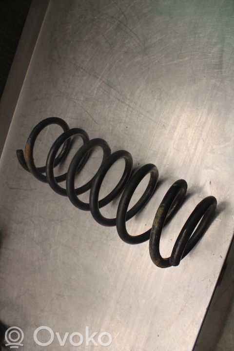 Muelle espiral trasero