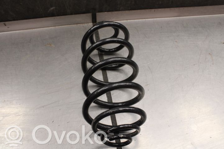 Muelle espiral trasero