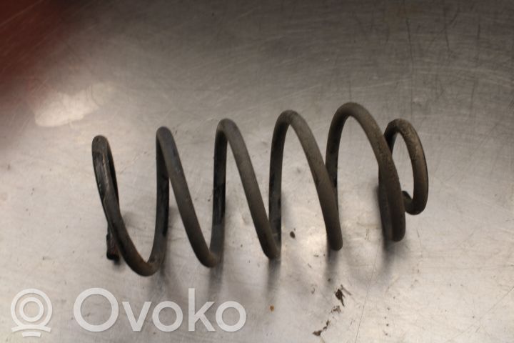 Rear coil spring