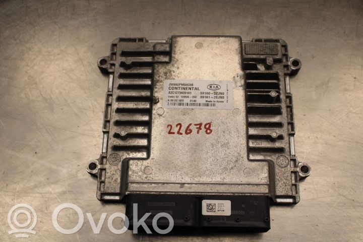 KIA Optima Injection control unit/module 
