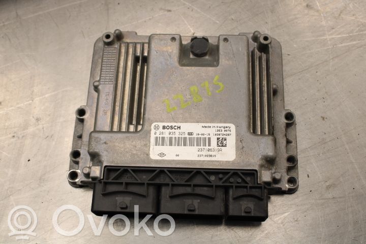 Injection control unit/module   237106319R,0281035325,237106319R