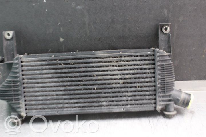 Nissan Navara D40 Radiatore intercooler 