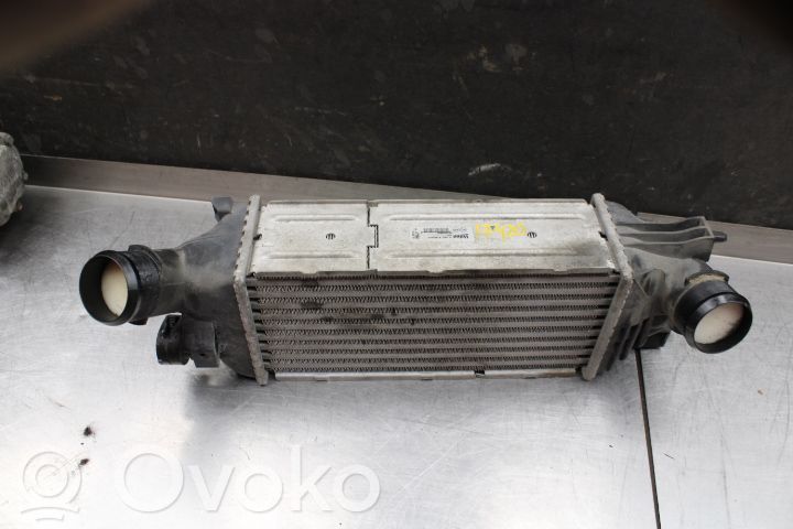 Peugeot 407 Radiatore intercooler