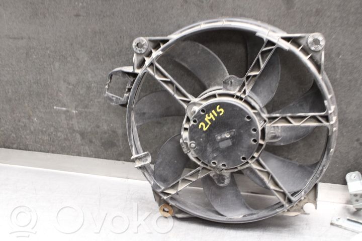 Elektrolüfter   214810898R
