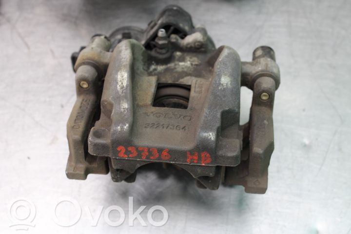 Takajarrusatula   36003033