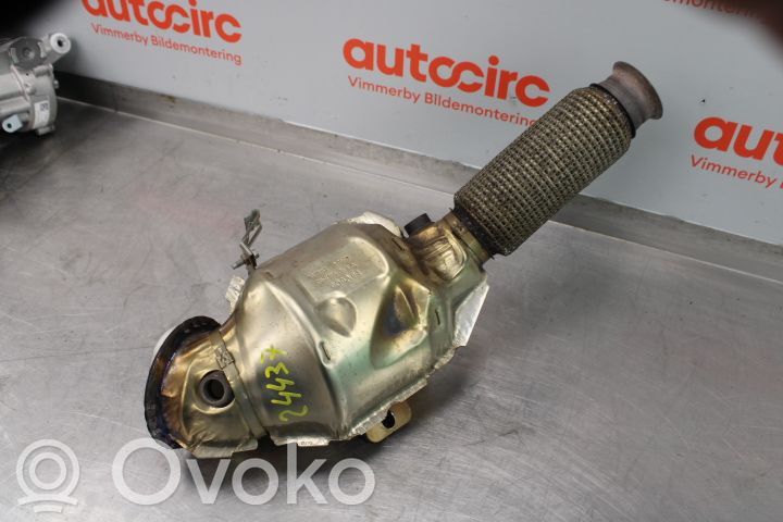 Filtr cząstek stałych Katalizator / FAP / DPF   2465014