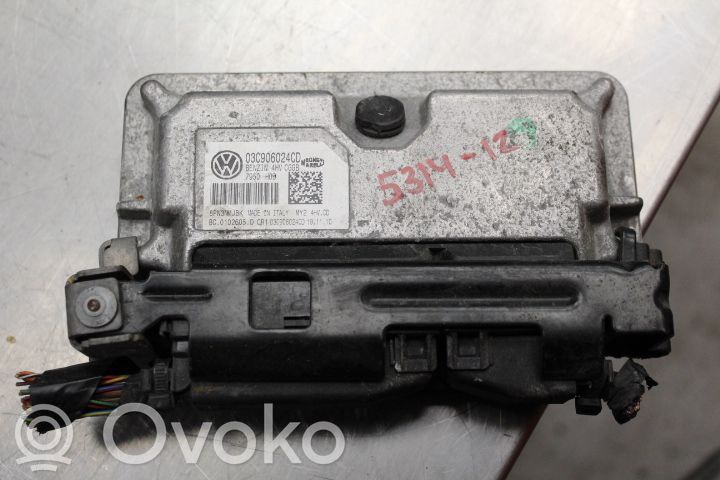 Injection control unit/module   03C906024CD