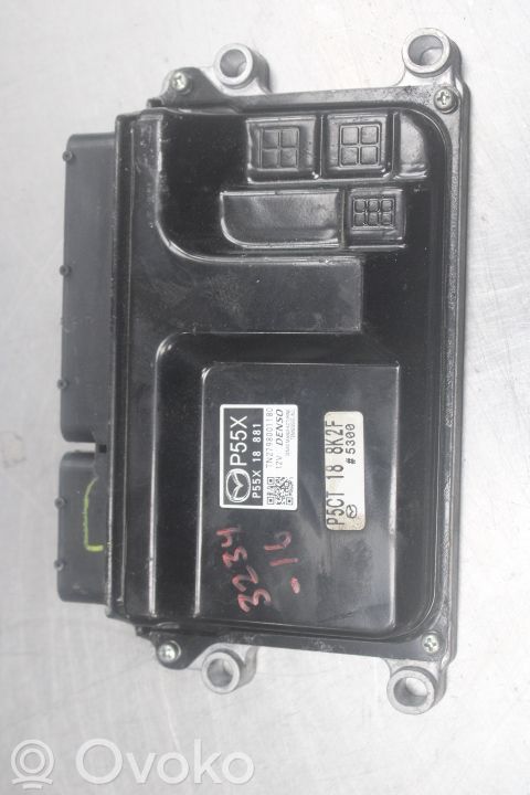 Unidad de control/módulo de la inyección   P55X18881