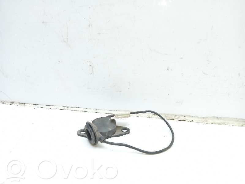 Radion antenni   65908381206