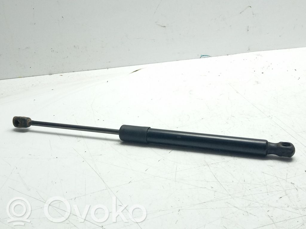 Tailgate/trunk strut/damper   39117353