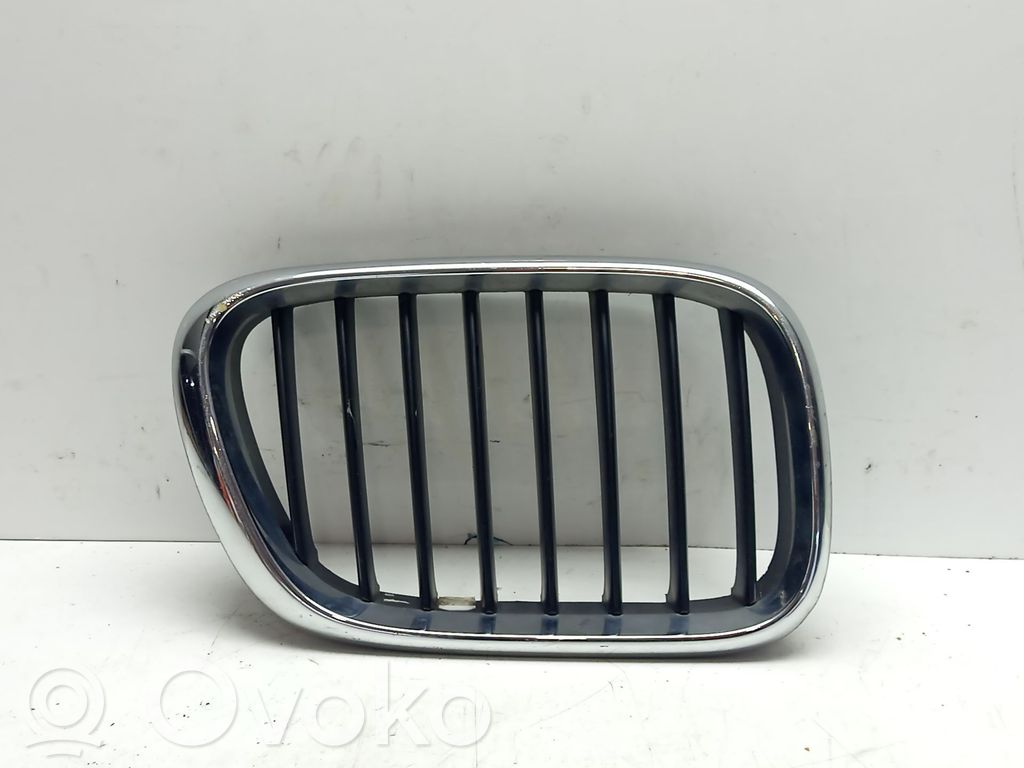 BMW X5 E53 Fender grill 