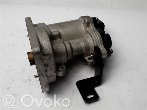 Válvula EGR   212000058A