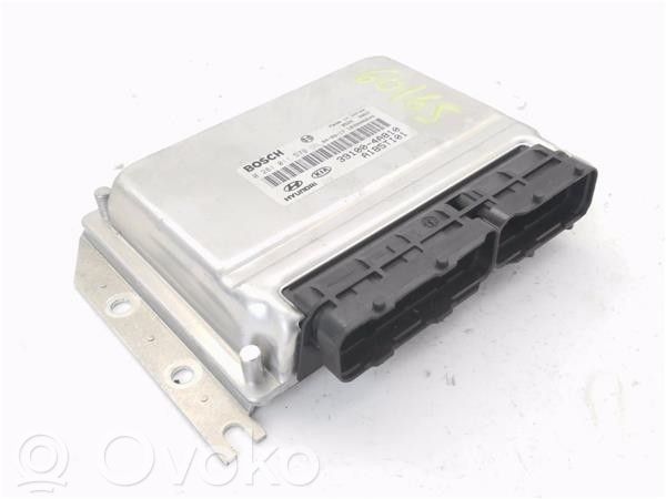 Engine control unit/module   391004A810,281011579