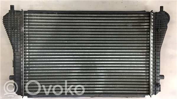 Volkswagen Passat Alltrack Radiator lichid răcire 