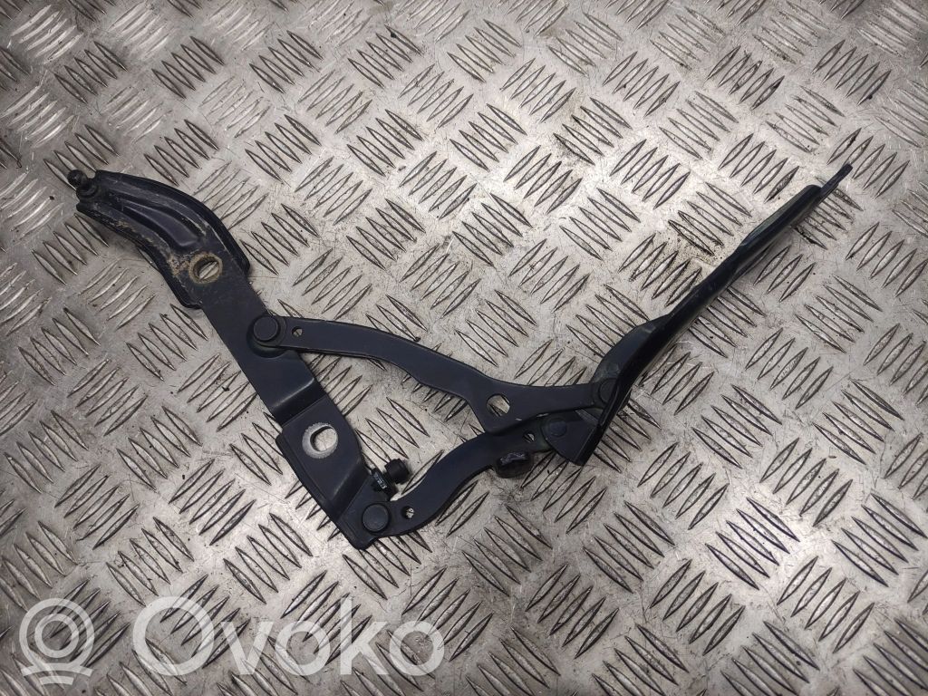 Tailgate/trunk/boot hinge   7060627,ES03
