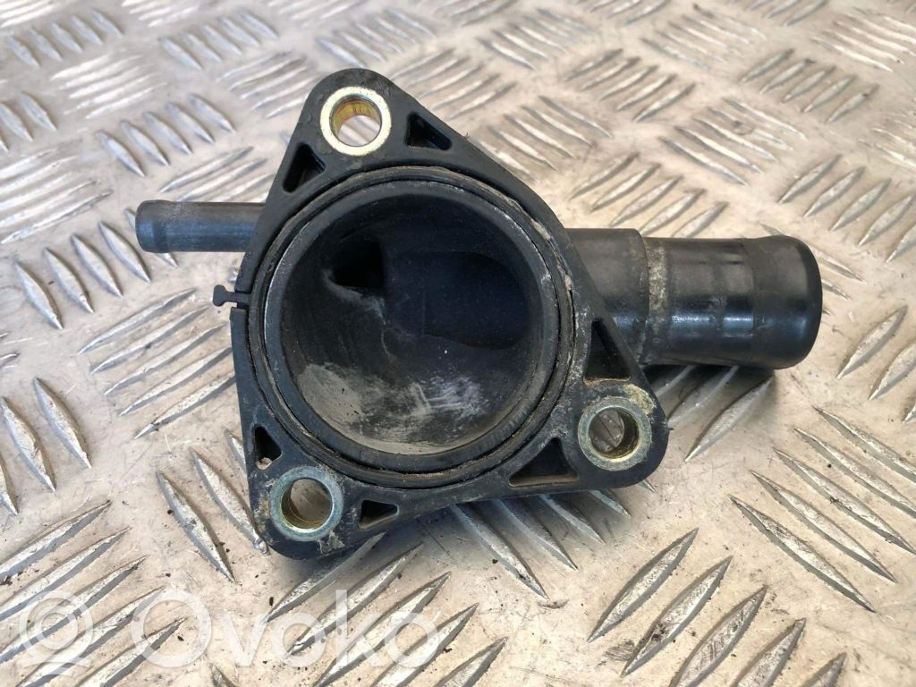 BMW 5 E39 Aušinimo vamzdelis (-iai)/ žarna (-os) 