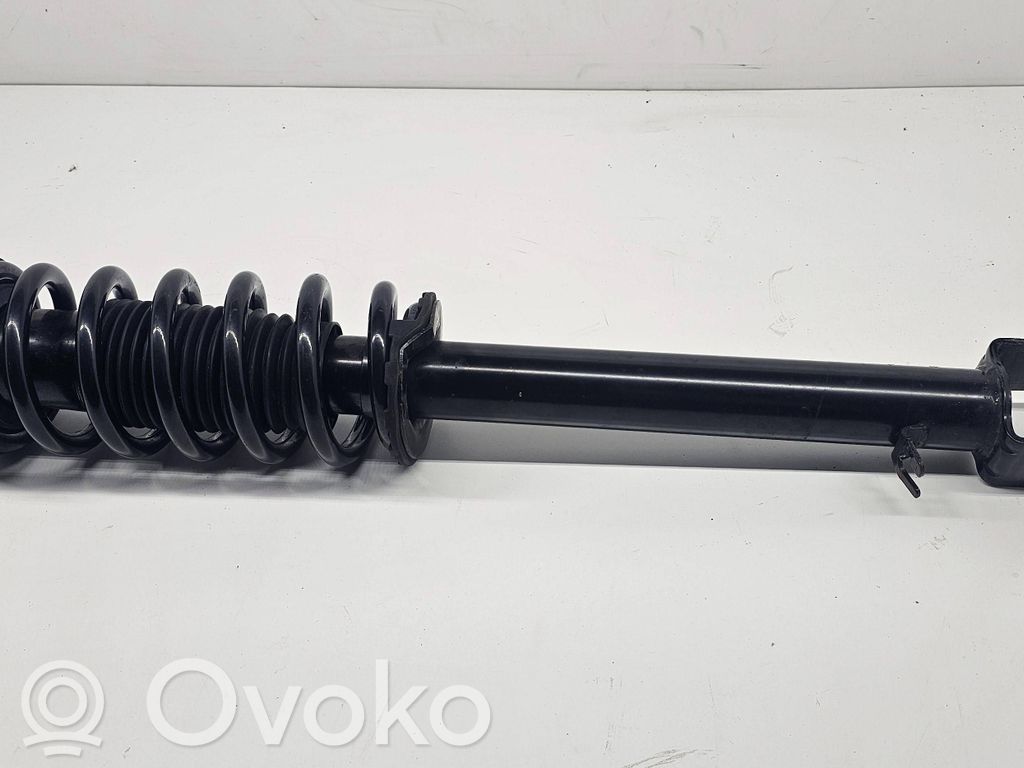 Front shock absorber/damper   101561900B