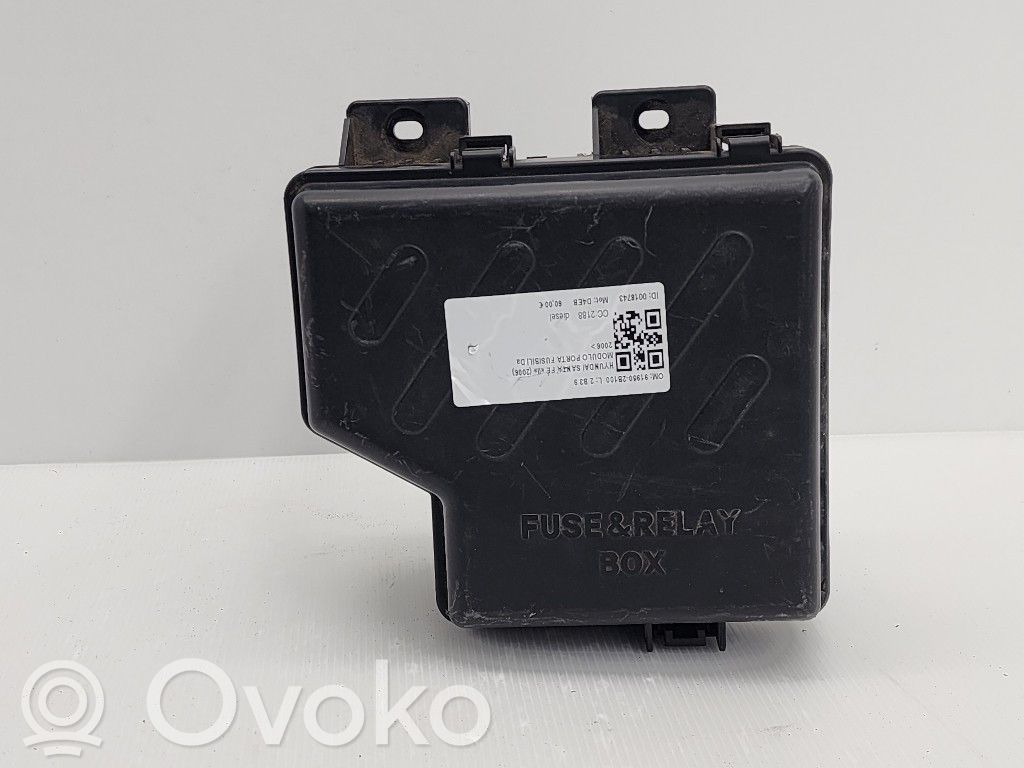 Hyundai Santa Fe Alte unități/module de control 
