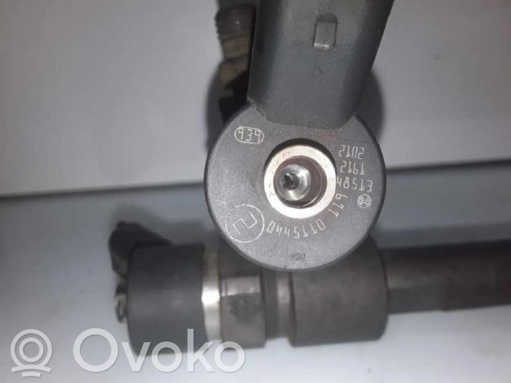 Injektor Einspritzdüse   0445110119