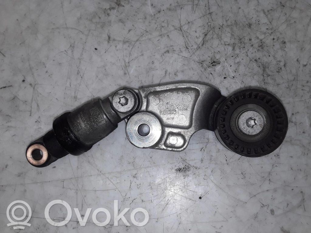 Tendicinghia generatore/alternatore   SH0115980