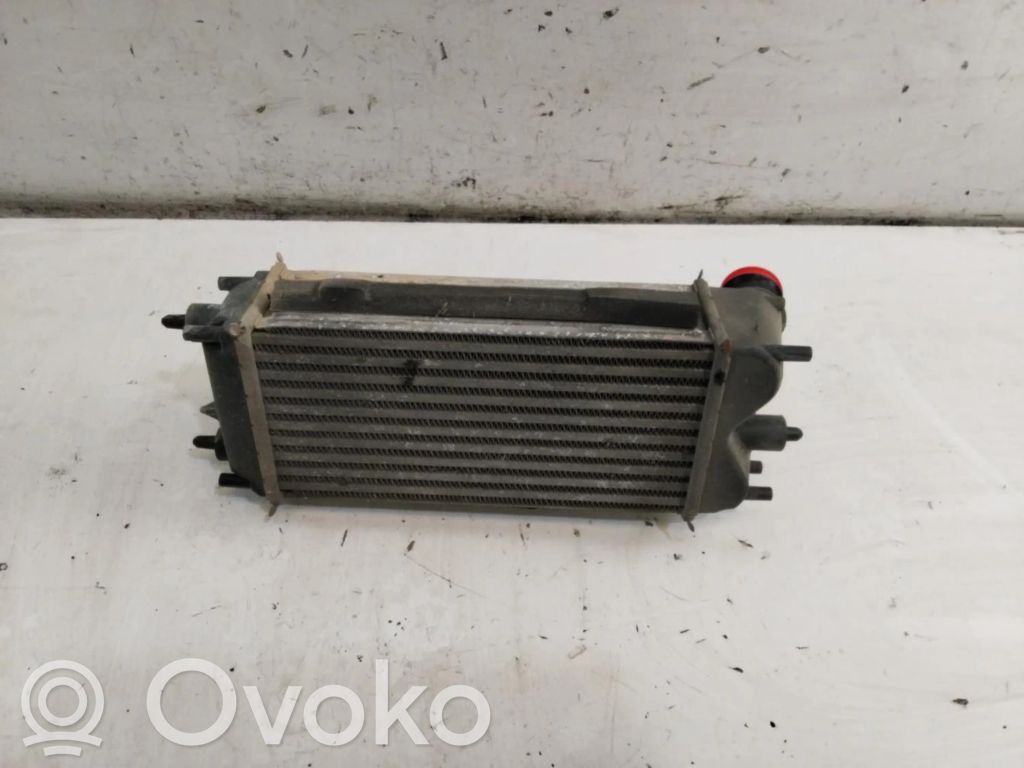 Intercooler radiator   0FT766K775BA