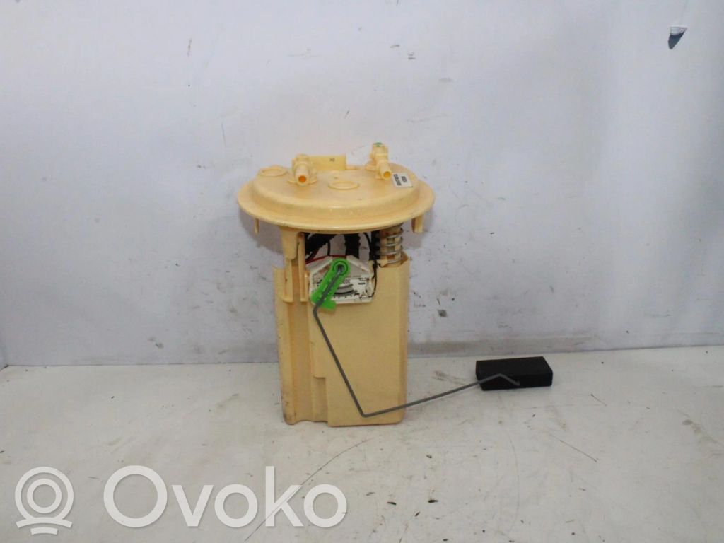 Citroen C5 In-tank fuel pump 