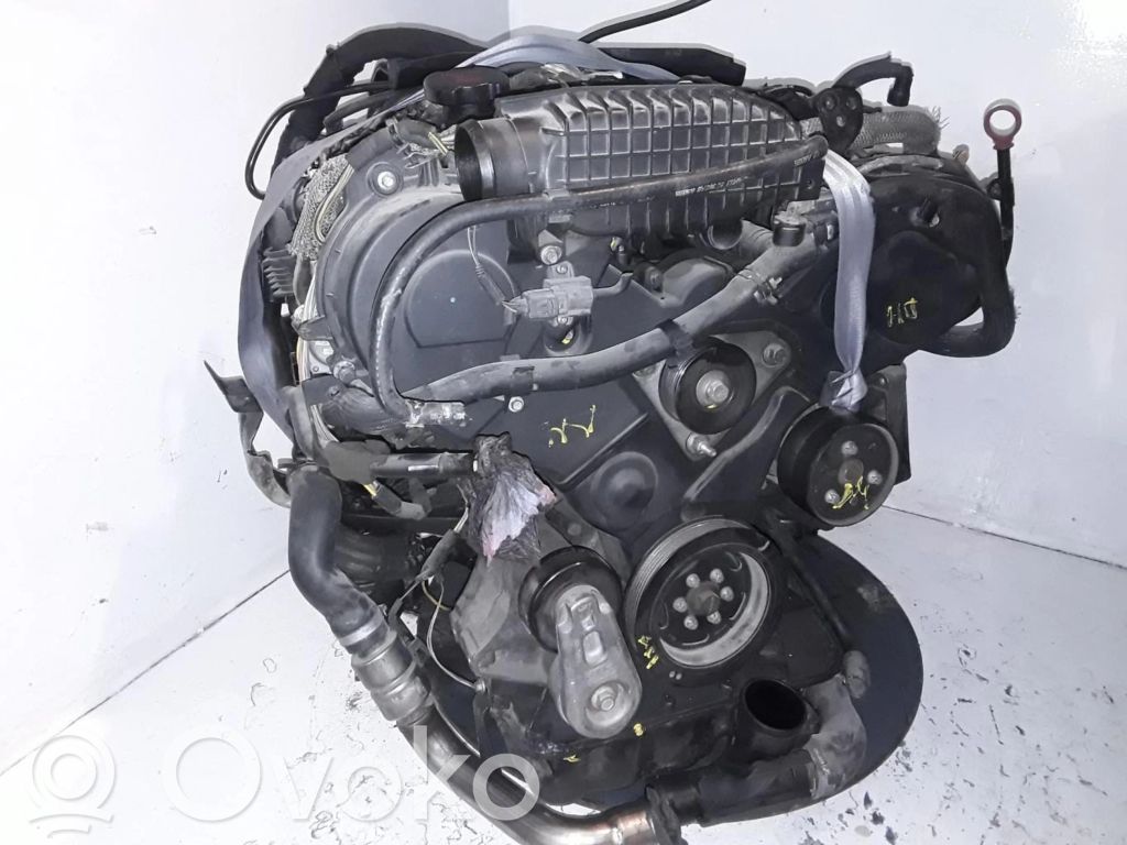 Motore   276DT