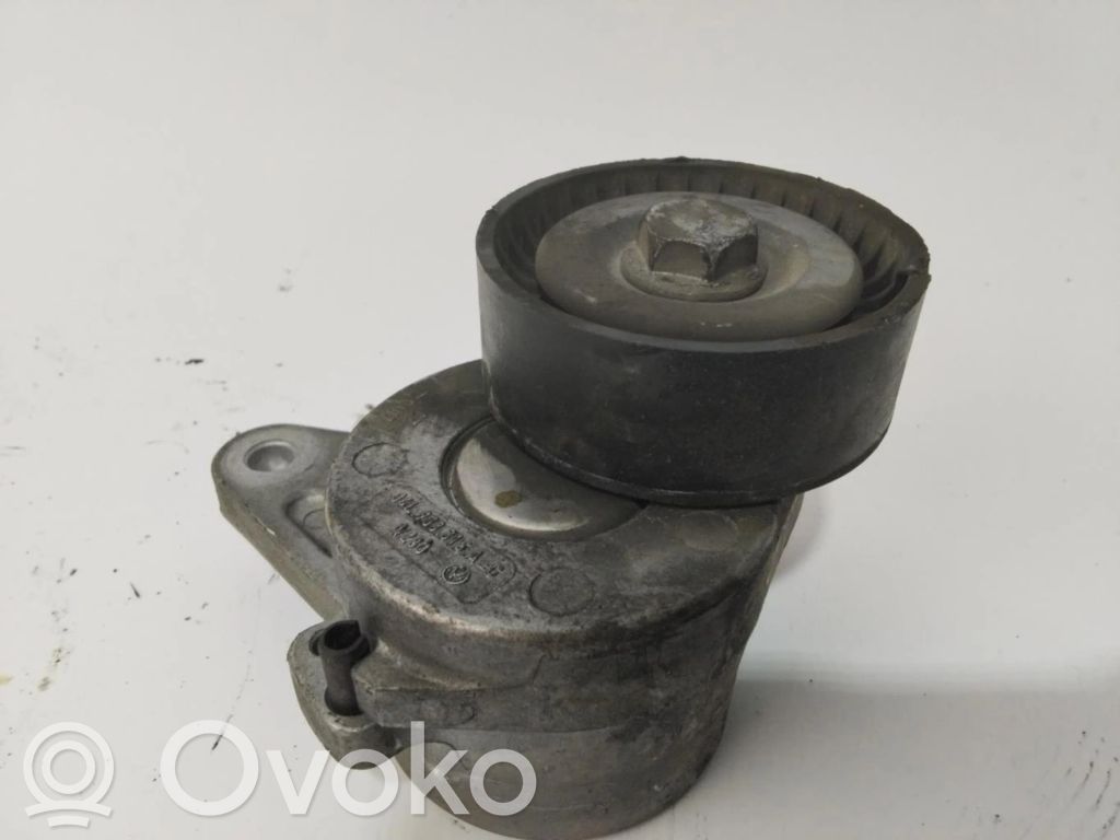Seat Leon (1P) Întinzător curea generator/alternator