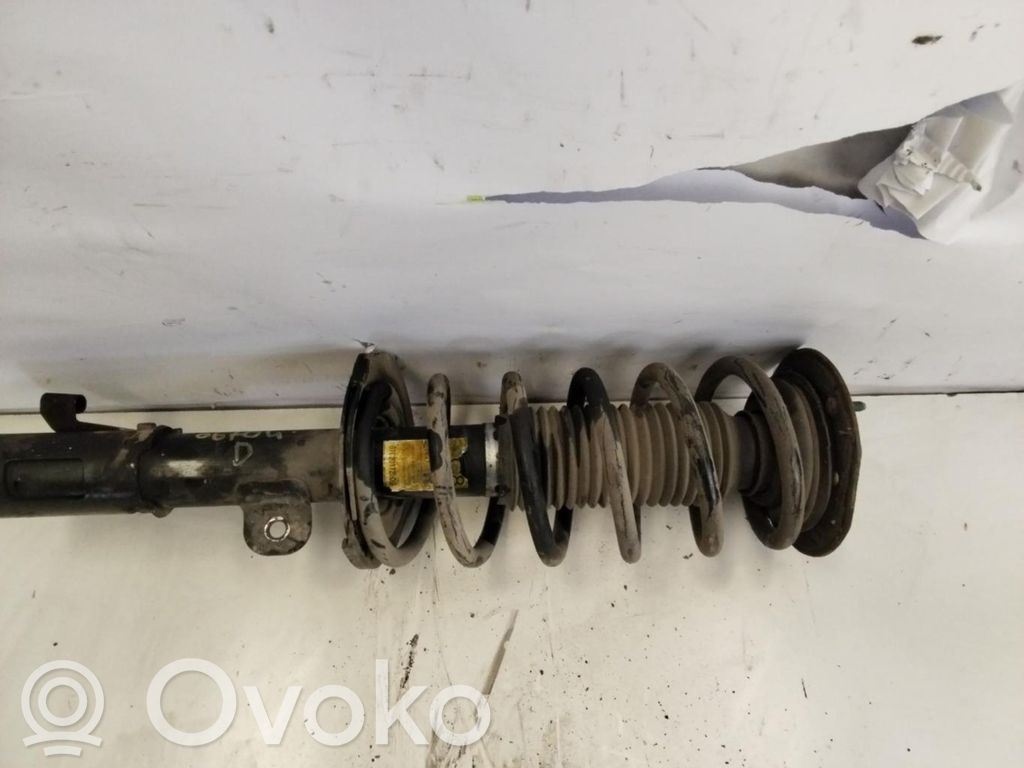 Opel Antara Ammortizzatore anteriore 