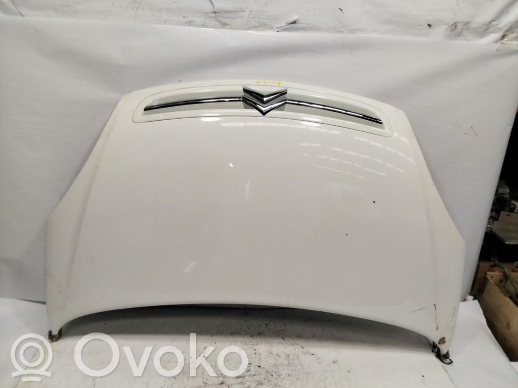 Motorhaube   SINRF