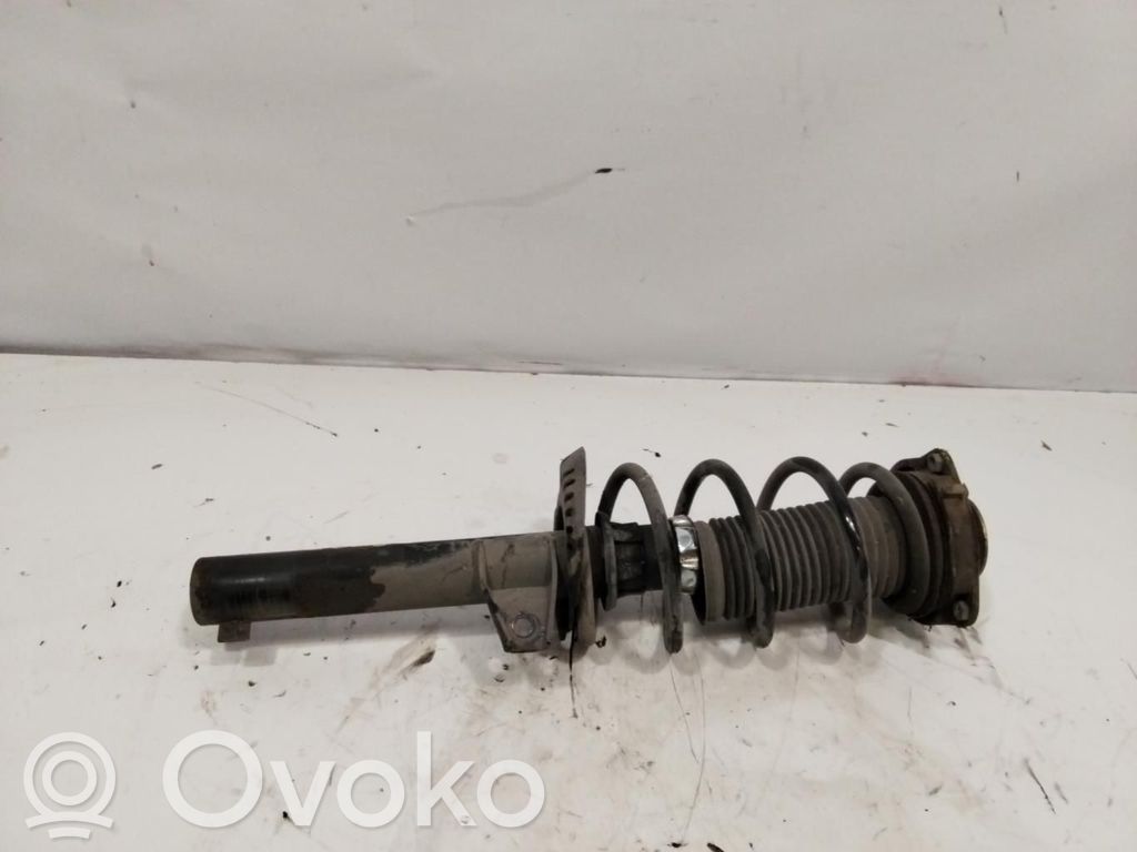 Skoda Octavia Mk2 (1Z) Ammortizzatore anteriore