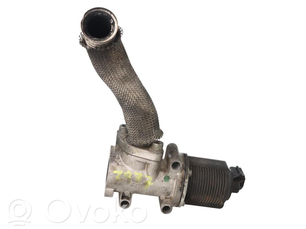 Válvula EGR   55204235