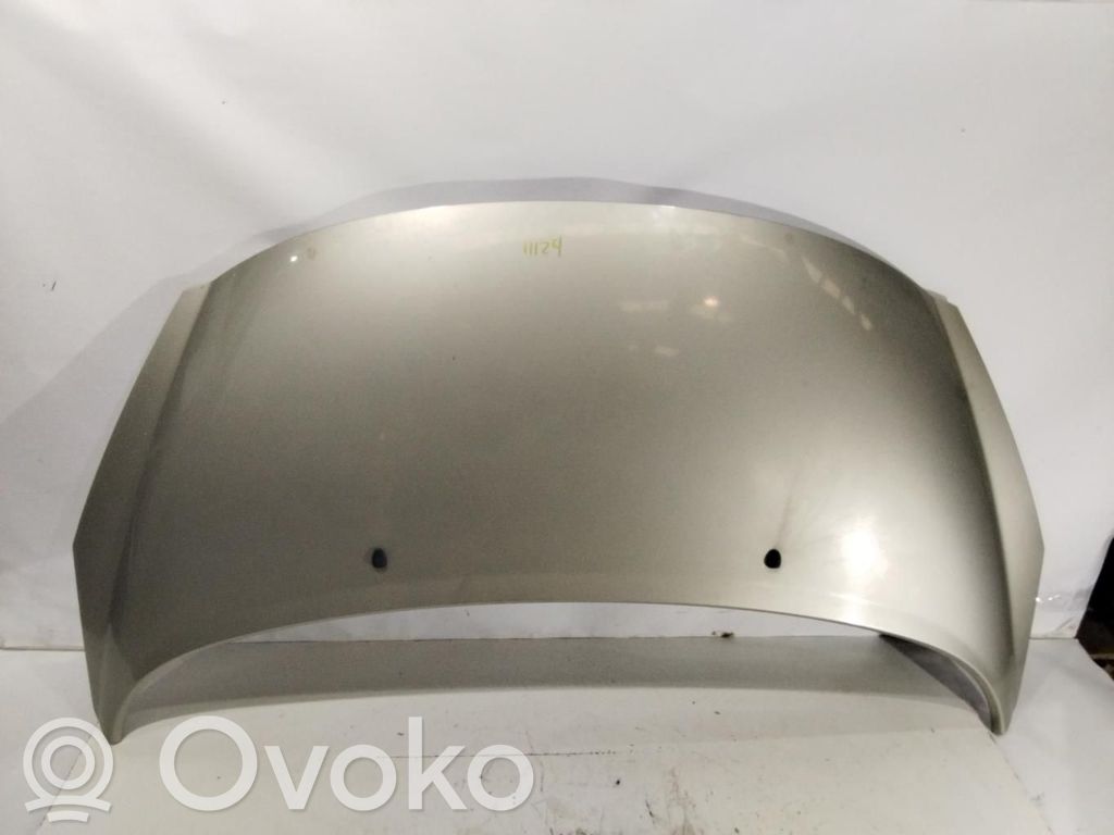 Konepelti   7901N2
