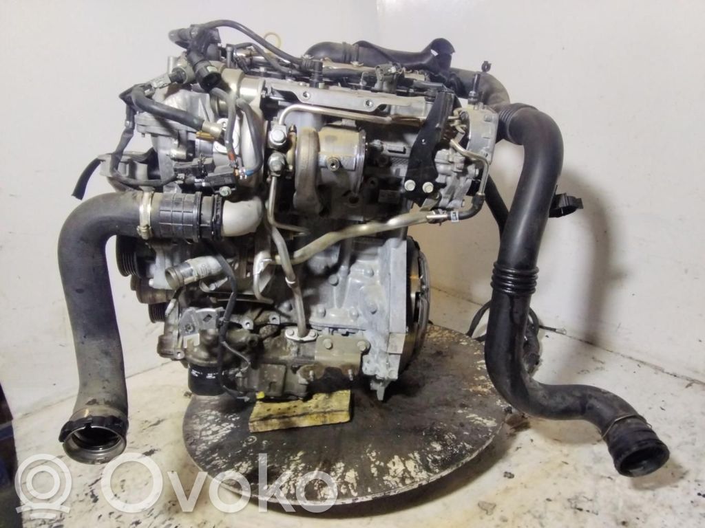 Motor   D14XFL