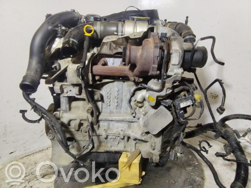 Ford Focus Motor 