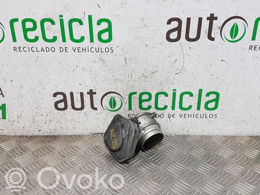 Throttle valve   CAJAMARIPOSA